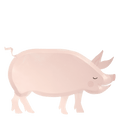 Piatti Maialino della Fattoria (x 12)