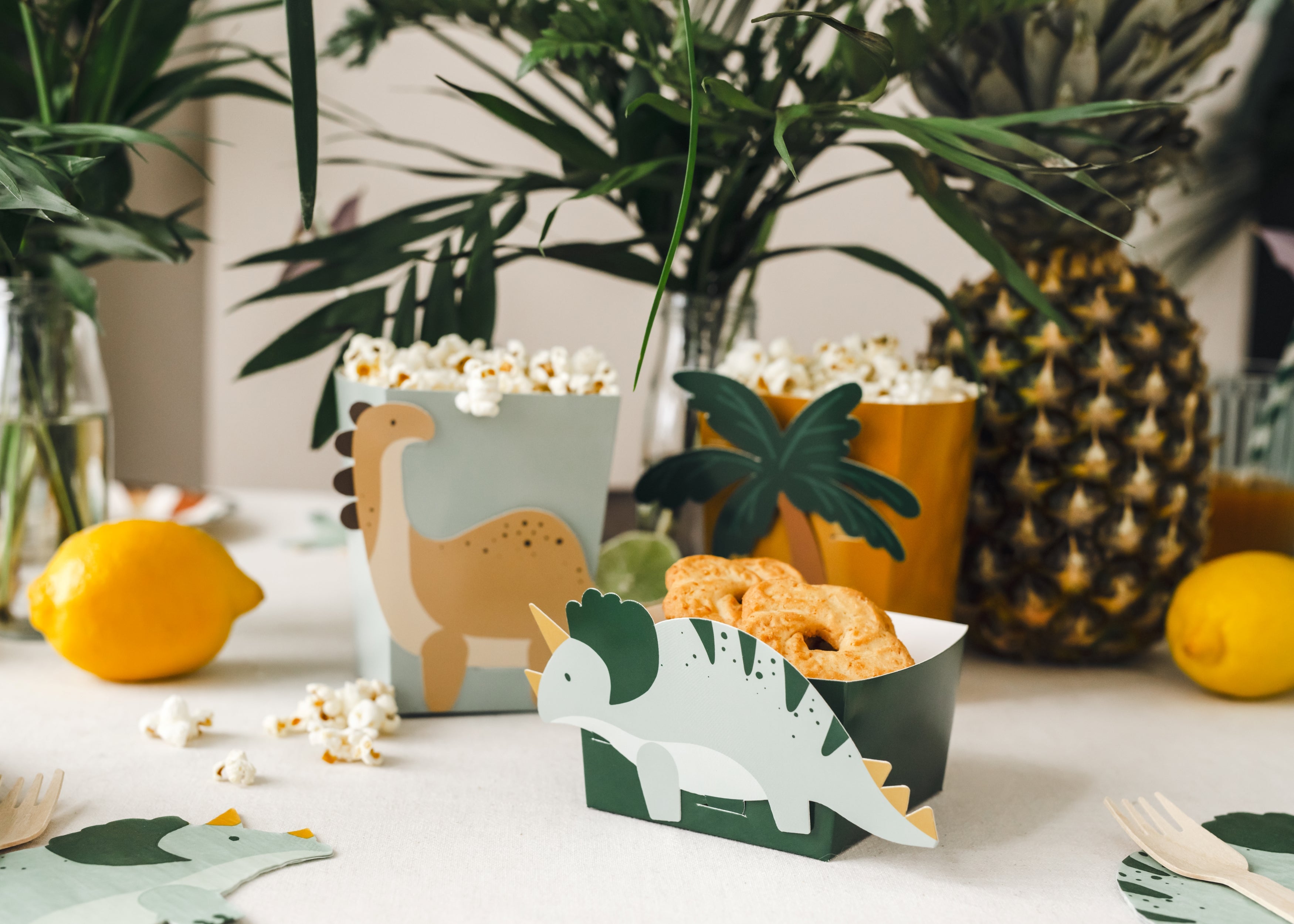 Snack boxes Dinosauri